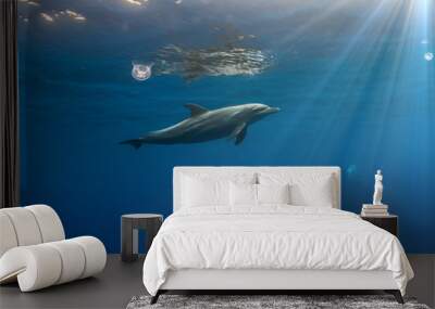 tropical seascape with wild dolphin swimming underwater close the sea surface between sunrays Wall mural