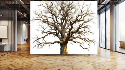 old tree without leaves on white Wall mural