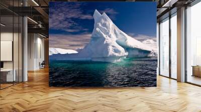 Antarctic Ice bergs  Wall mural