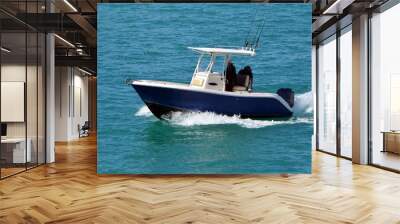 Two fishermen aboard aa small blue and white sport fishing boat powered by a single outboard engine slowly cruising on the Florida Intra-Coastal Waterway Wall mural