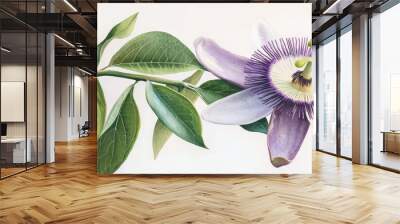 A gentle watercolor rendering of a passionflower, its purple and white petals radiating from a vivid green center, with tropical leaves softly blending into the background. Wall mural