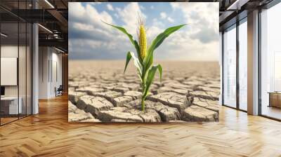 A GMO corn plant growing in dry, harsh conditions, with healthy ears of corn standing out as a symbol of resilience through genetic modification. Wall mural