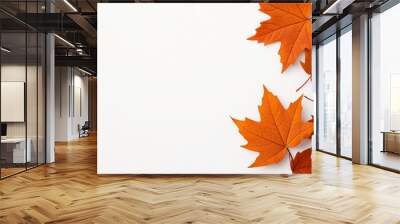 Autumn maple leaves border, white background, simple clip art style, flat design illustration Wall mural