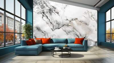 Abstract Marble Swirls in Gray and White Wall mural