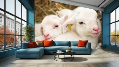 Little lamb. Wall mural