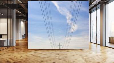 Power line Wall mural