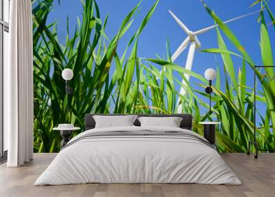 Wind energy Wall mural