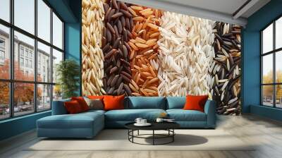 Various type and color of rice Wall mural