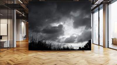 Cloud Storm Sky Dark Rain Lightning Thunder Stoumy Typhoon Nature Light Scene Rainy Atmosphere Damage Effect Carbon dioxide Dust Air pollution 2.5 Pm, Texture Nature Windstorm Weather Skyscapte. Wall mural