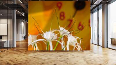 caribbean spider-lily, unique style white flower on multicolored background Wall mural