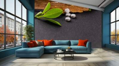 Traditional medicine concept. Cinnamon and ayurvedic white tablets with green leaves on the black background Wall mural