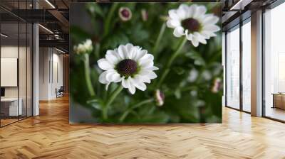 Two white flowers Wall mural