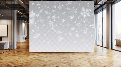 Vector heavy snowfall, snowflakes in different shapes and forms. Many white cold flake elements on transparent background. White snowflakes flying in the air. Snow flakes, snow background. Wall mural