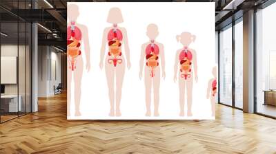 Human anatomy organs. Man, woman, girl, boy and newborn baby with internal organs location vector illustrations. Internal organs medical infographic. Female and male human body structure Wall mural