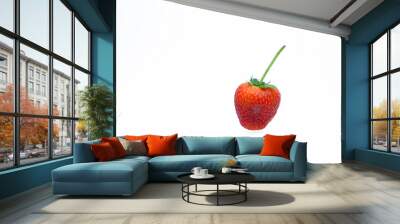 Isolated of strawberry. Wall mural