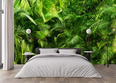 beautiful green jungle of lush palm leaves, palm trees in an exotic tropical forest, tropical plants nature concept for panorama wallpaper, selective sharpness Wall mural