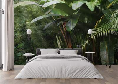 beautiful tropical vegetation garden with palm leaves, lush foliage in a green wild jungle, rain for Wall mural