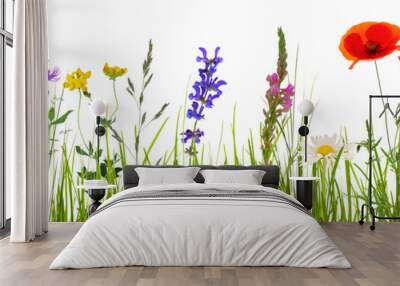 colorful abstract flower meadow with summer flowers and green blades of grass isolated on transparent background, textured overlay decoration Wall mural