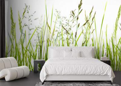 flowering grass meadow with motion blur isolated on transparent background, natural texture template overlay decoration for pollen allergy season Wall mural