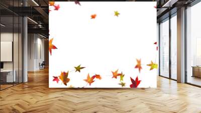 frame from colorful fall leaves in motion in autumn wind on transparent background, natural overlay texture for fall season Wall mural