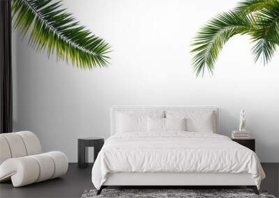 green curved palm leaves isolated on transparent background, texture overlay for vacation, relaxation, travel and wellness Wall mural