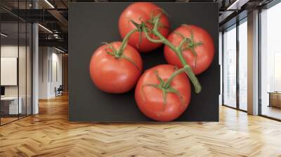 red tomatoes on a black background  Wall mural