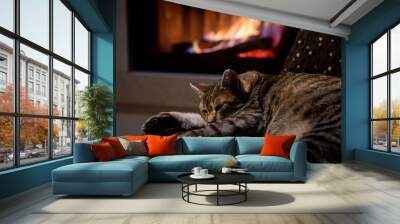 cat in front of a fireplace

 Wall mural