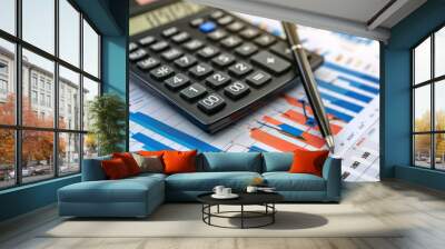 Financial accounting stock market graphs, pen, analysis calculator Wall mural