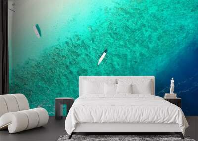 Aerial drone shot of the tranquil Indian Ocean and the sandy beach in the Maldives Wall mural