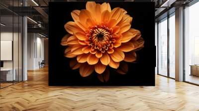 AI generated illustration of a vibrant orange flower illuminated against a black background Wall mural