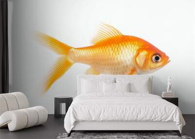 AI illustration of a vibrant orange goldfish stands against a plain white background. Wall mural