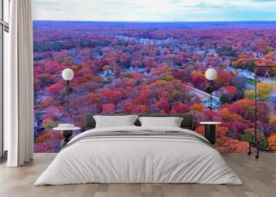 an aerial view of houses and trees during the fall season Wall mural