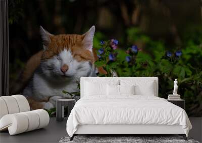 an orange and white cat laying next to some bushes and flowers Wall mural