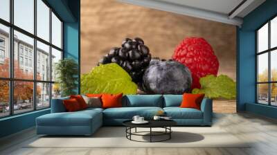 Assortment of ripe blueberry, raspberry, and blackberry arranged in an aesthetically pleasing manner Wall mural