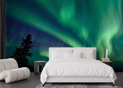 Awe-inspiring aurora borealis illuminating a night sky in Dawson City, Yukon Territory, Canada Wall mural