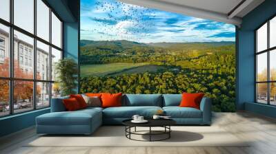 Beautiful green countryside landscape Wall mural