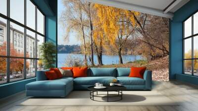 Beautiful scenery of autumn trees with yellow one by the river at the daytime Wall mural