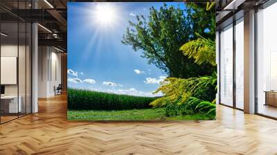 Bright shining sun in a blue sky over a rural green valley Wall mural