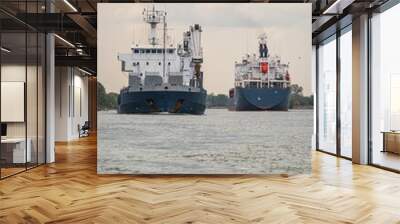 Cargo ships navigating a river under a cloudy sky. Wall mural