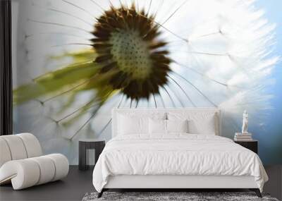 Close-up of a dandelion seed head against a bright blue sky Wall mural