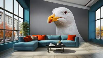 Close-up shot of a seagull with a blurry background Wall mural