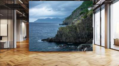 Dramatic view of a rocky coastline with jagged cliffs and an abundance of trees in  La Spezia, Italy Wall mural