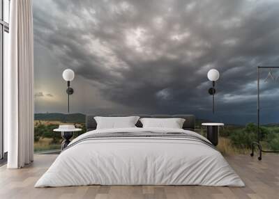 Empty road (asphalt road) through yellowish fields. Dramatic sky before rain and storm. Wall mural