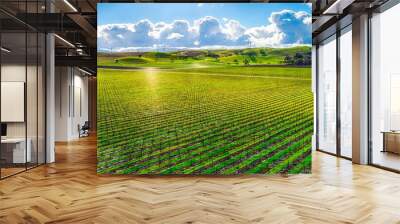 Gorgeous view of a vast, vibrant green field under a bright cloudy sky in the countryside Wall mural