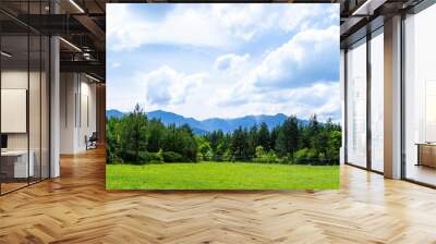 Landscape view of the fir forest trees on the green field with mountains in the background Wall mural