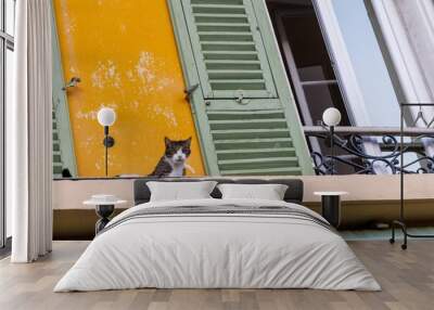 Low angle shot of a cute cat on a building ledge near a balcony Wall mural