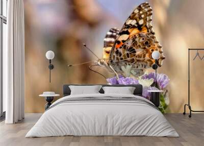 Macro shot of painted lady butterfly sitting on purple limonium flower on blurry background Wall mural