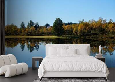 Norwegian mountain lake under a bright blue sky, north of the mining town of Roeros, Norway Wall mural