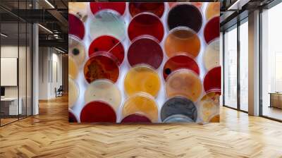 Petri dishes with bacterial cultures. Wall mural