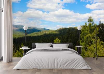 Scenic forest and mountain landscape Wall mural